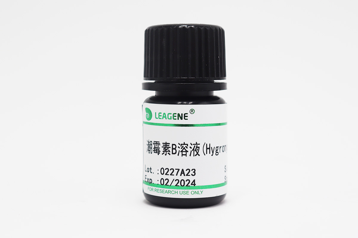 潮霉素B溶液(Hygromycin B,50mg/ml)