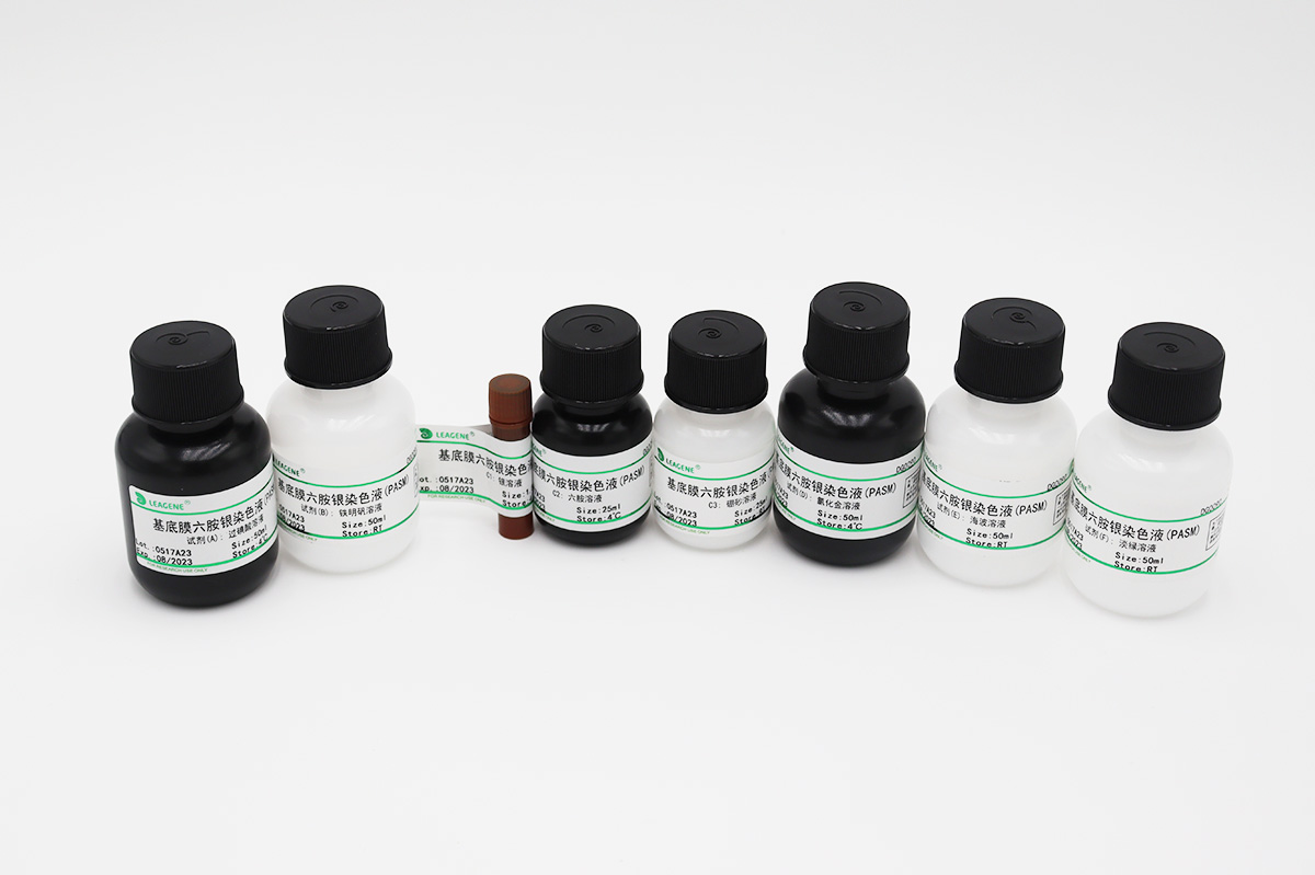 基底膜六胺銀染色液(PASM)