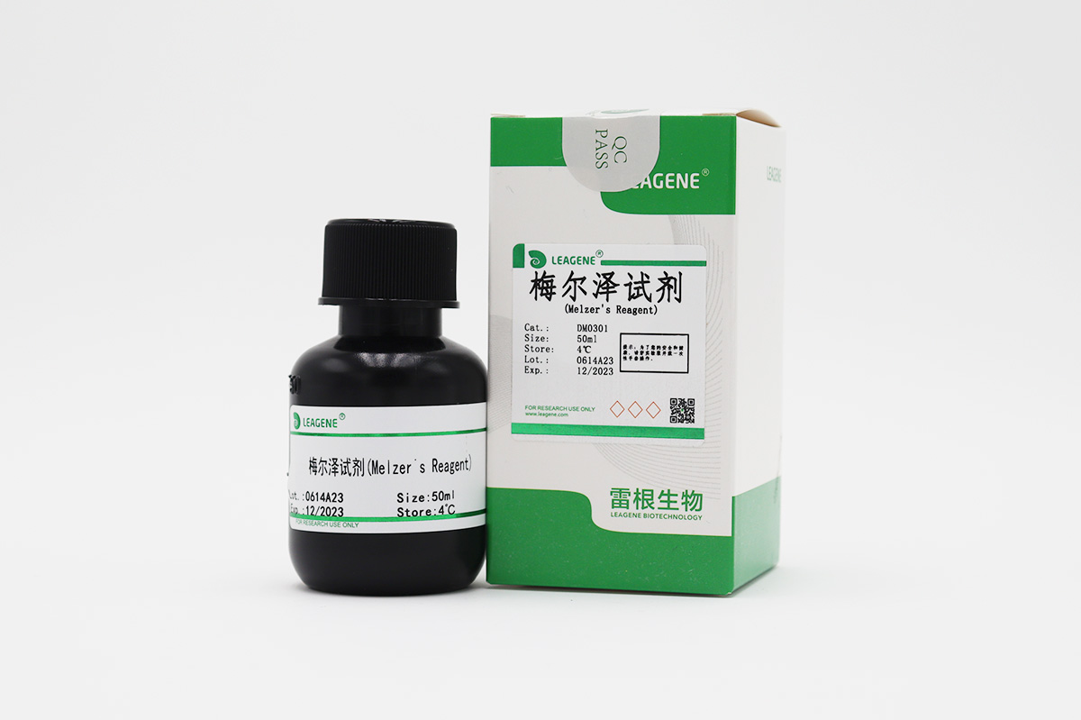 梅爾澤試劑(Melzer's Reagent)