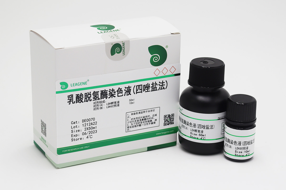 乳酸脫氫酶染色液(四唑鹽法)