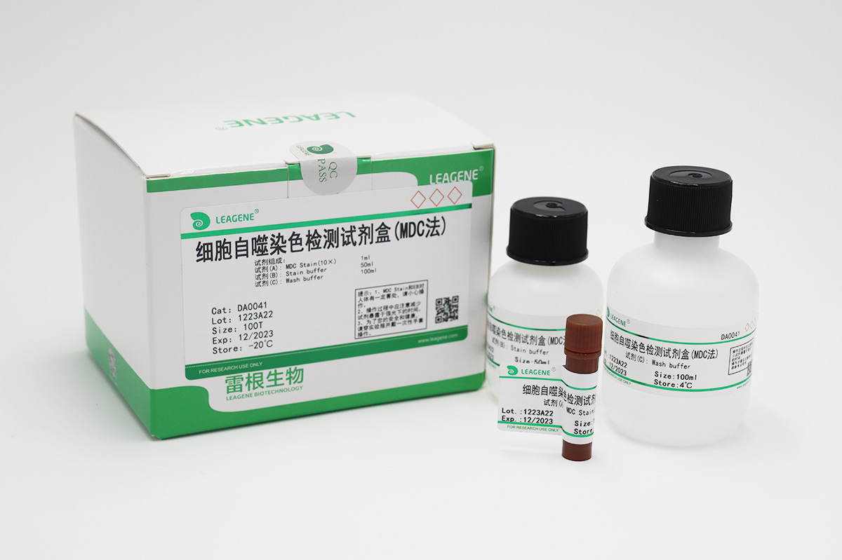 細胞自噬染色檢測試劑盒(MDC法)