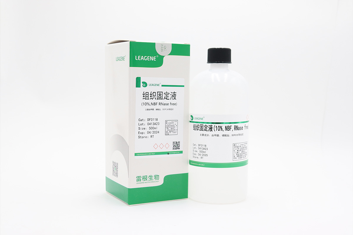 組織固定液(10% NBF,RNase free)
