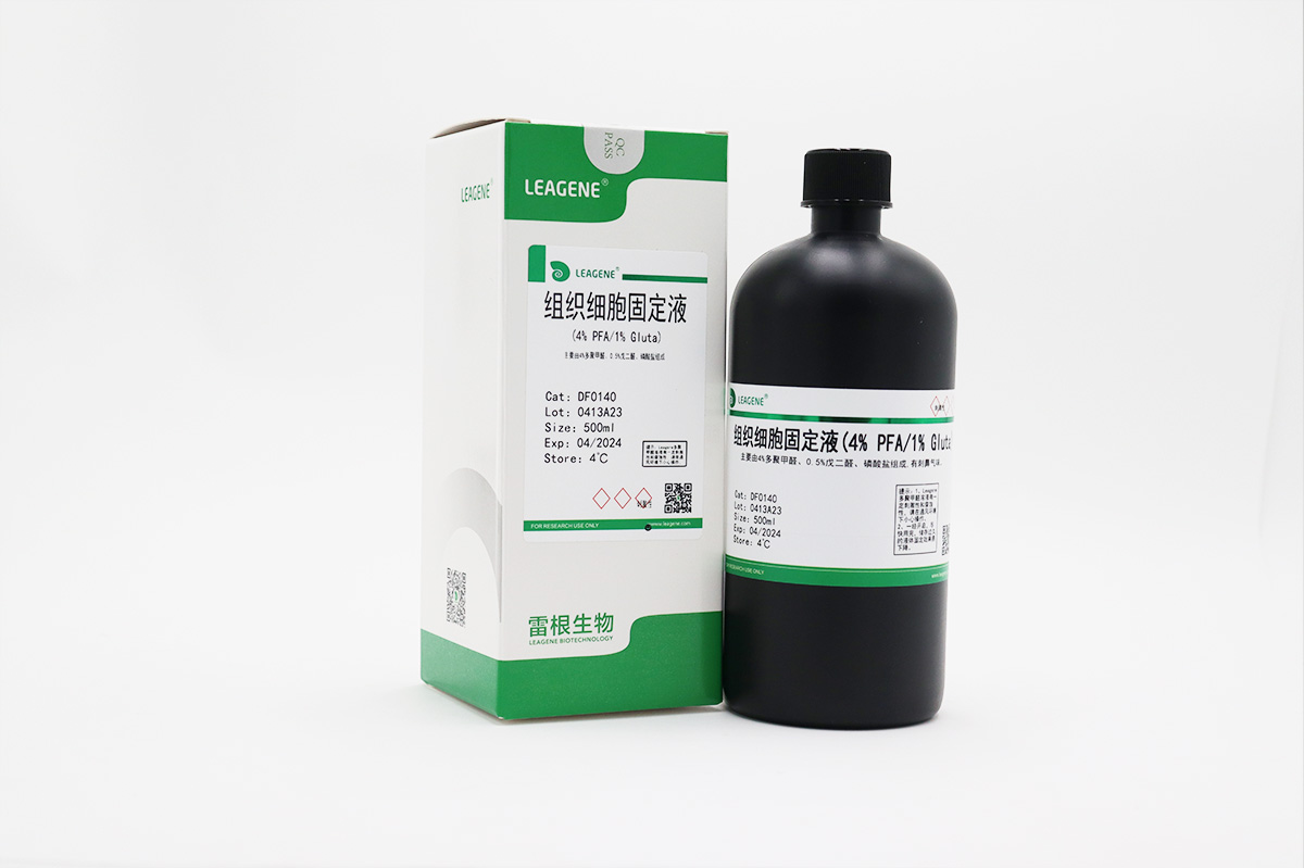 組織細胞固定液(4% PFA/1% Gluta)