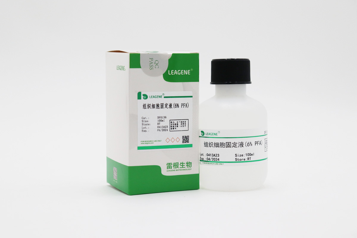 組織細胞固定液(6% PFA)