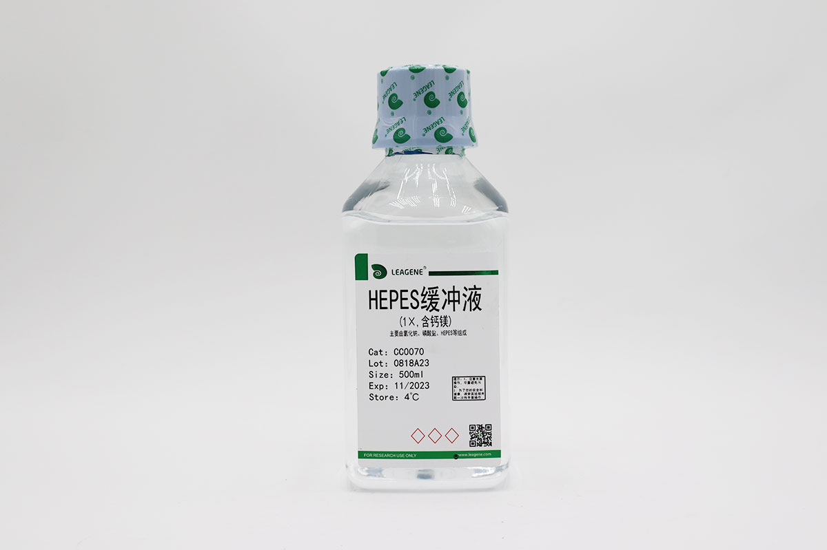 HEPES緩沖液(1×,含鈣鎂)