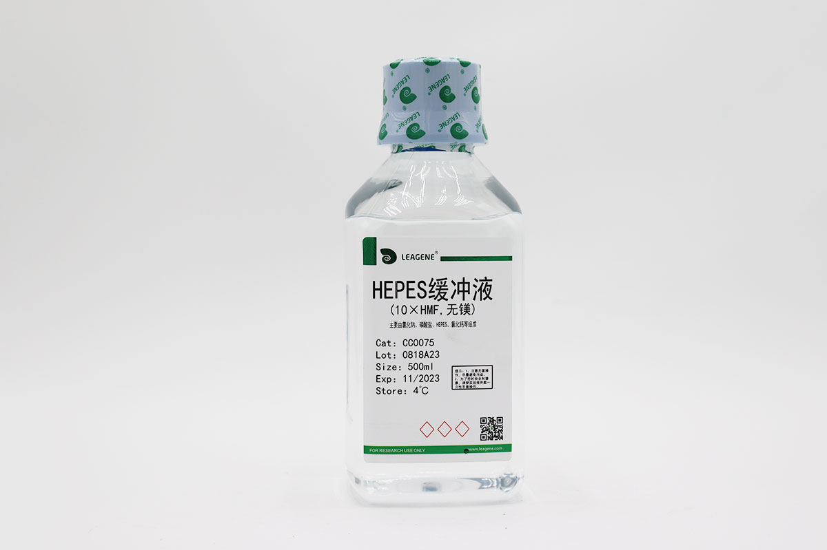 HEPES緩沖液(10×HMF,無鎂)