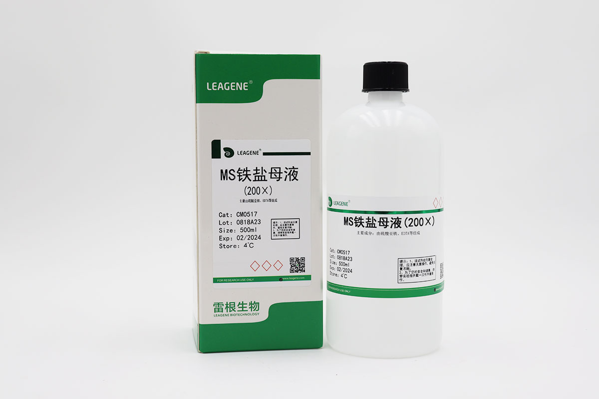 MS鐵鹽母液(200×)
