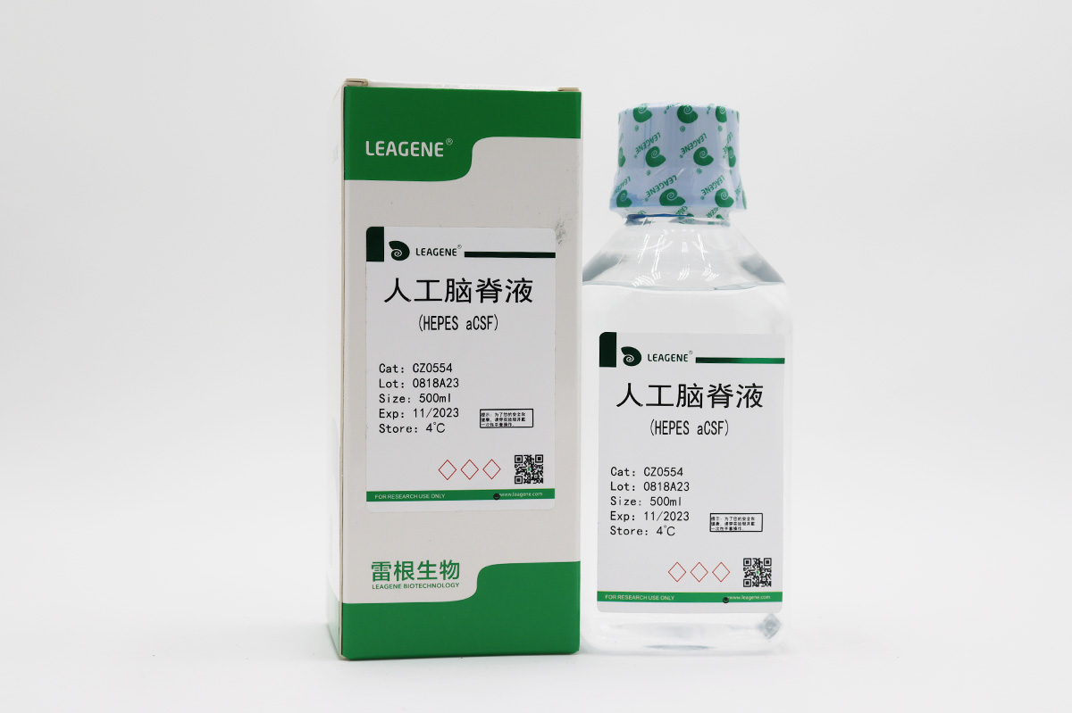 人工腦脊液(HEPES aCSF)