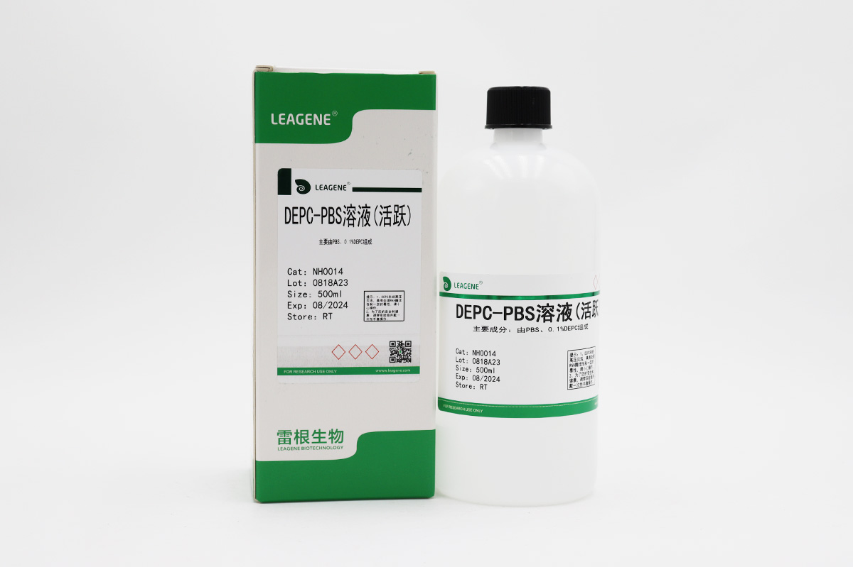 DEPC-PBS溶液(活躍)