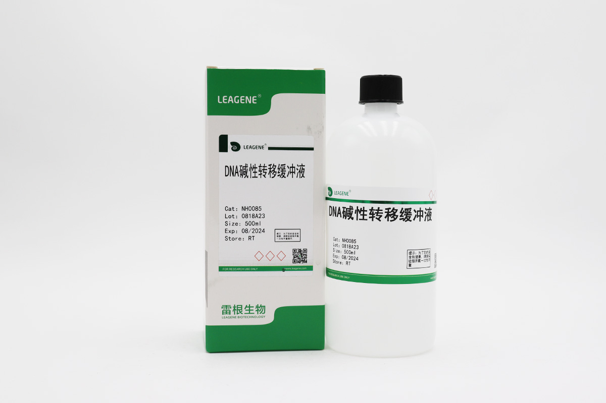 DNA堿性轉移緩沖液