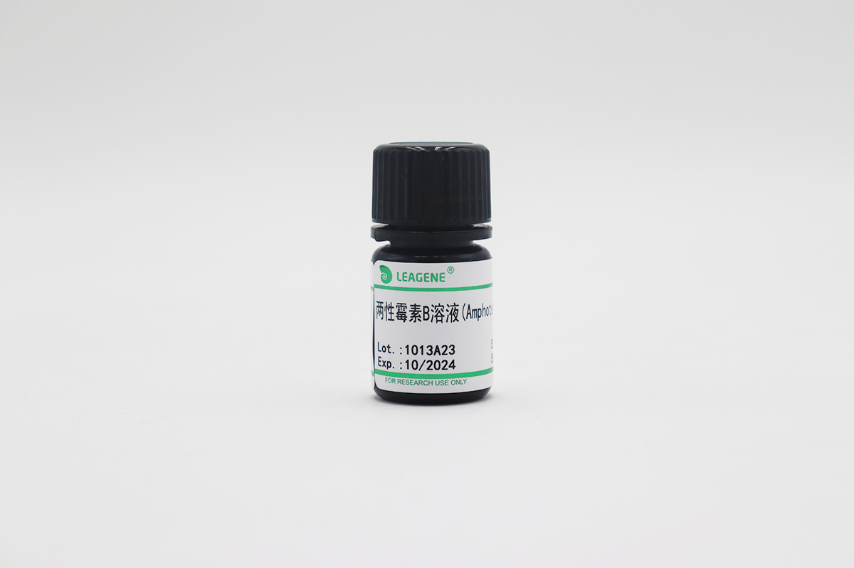 兩性霉素B溶液(Amphotericin B,10mg/ml)
