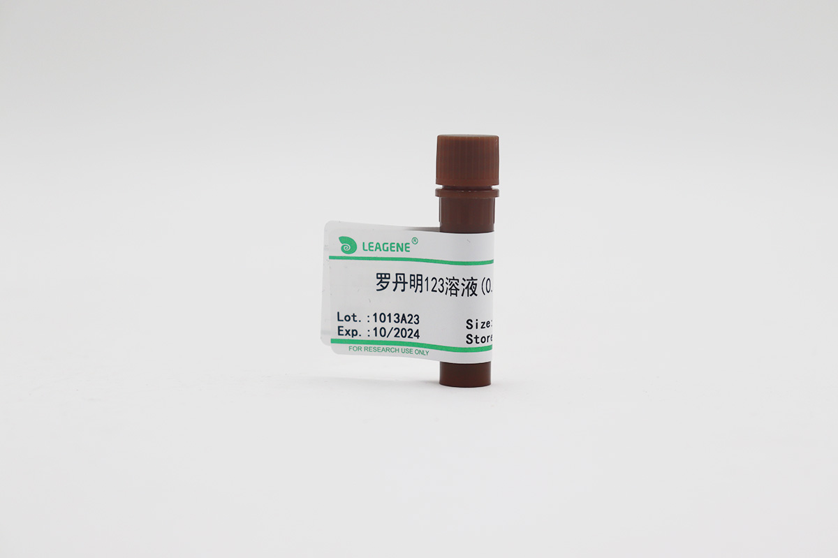 羅丹明123溶液(0.5mg/ml)