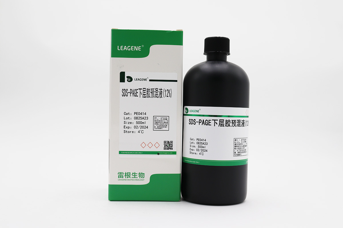 SDS-PAGE下層膠預(yù)混液(12%)