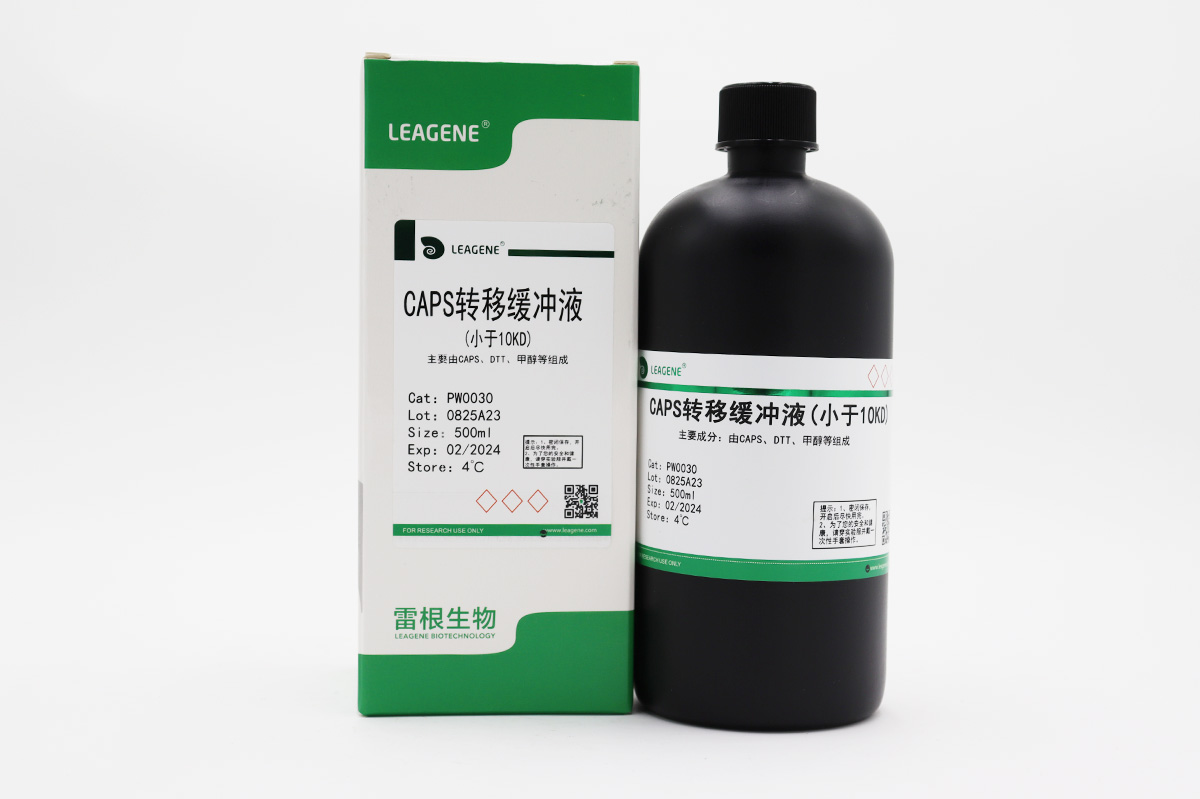 CAPS轉(zhuǎn)移緩沖液(小于10KD)