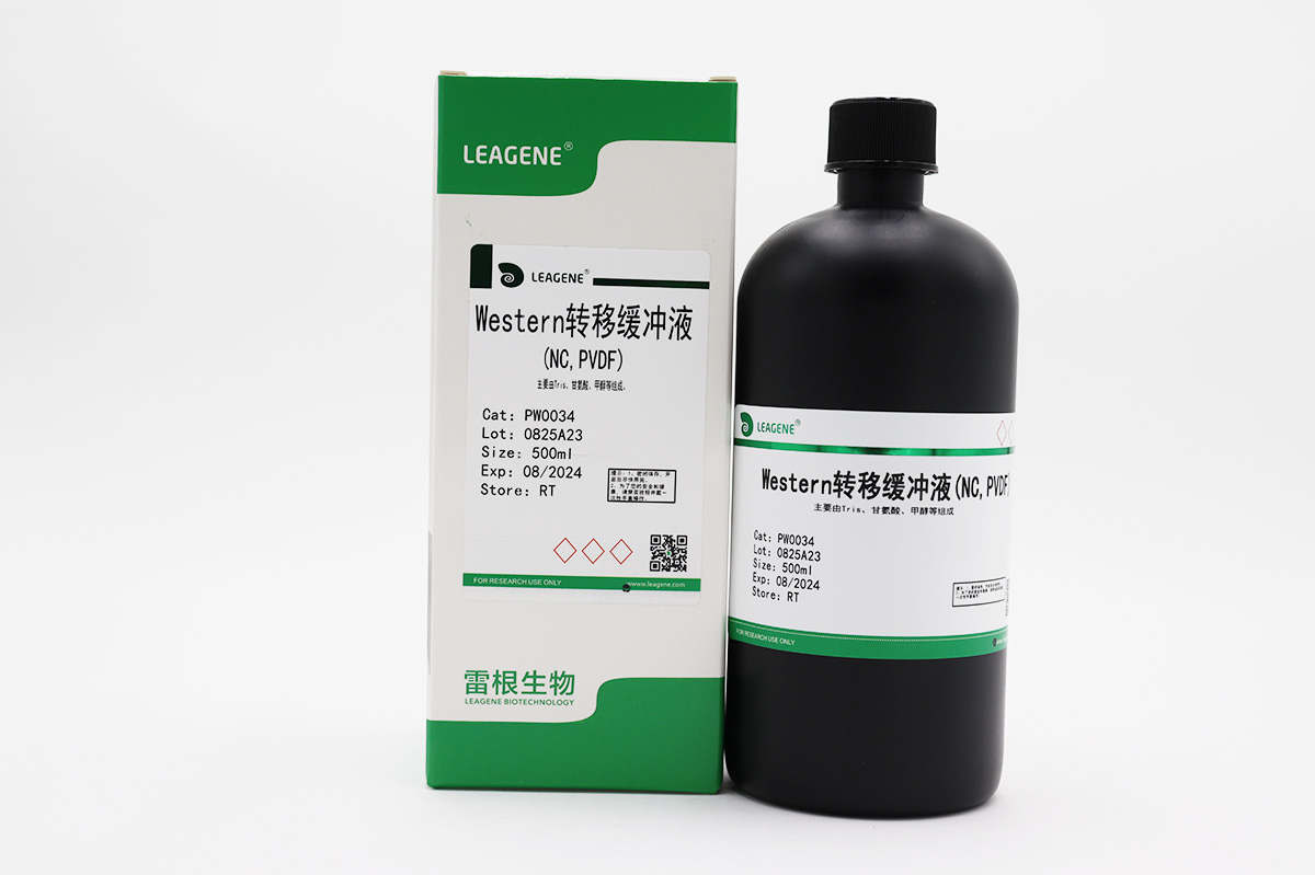 Western轉移緩沖液(NC,PVDF)