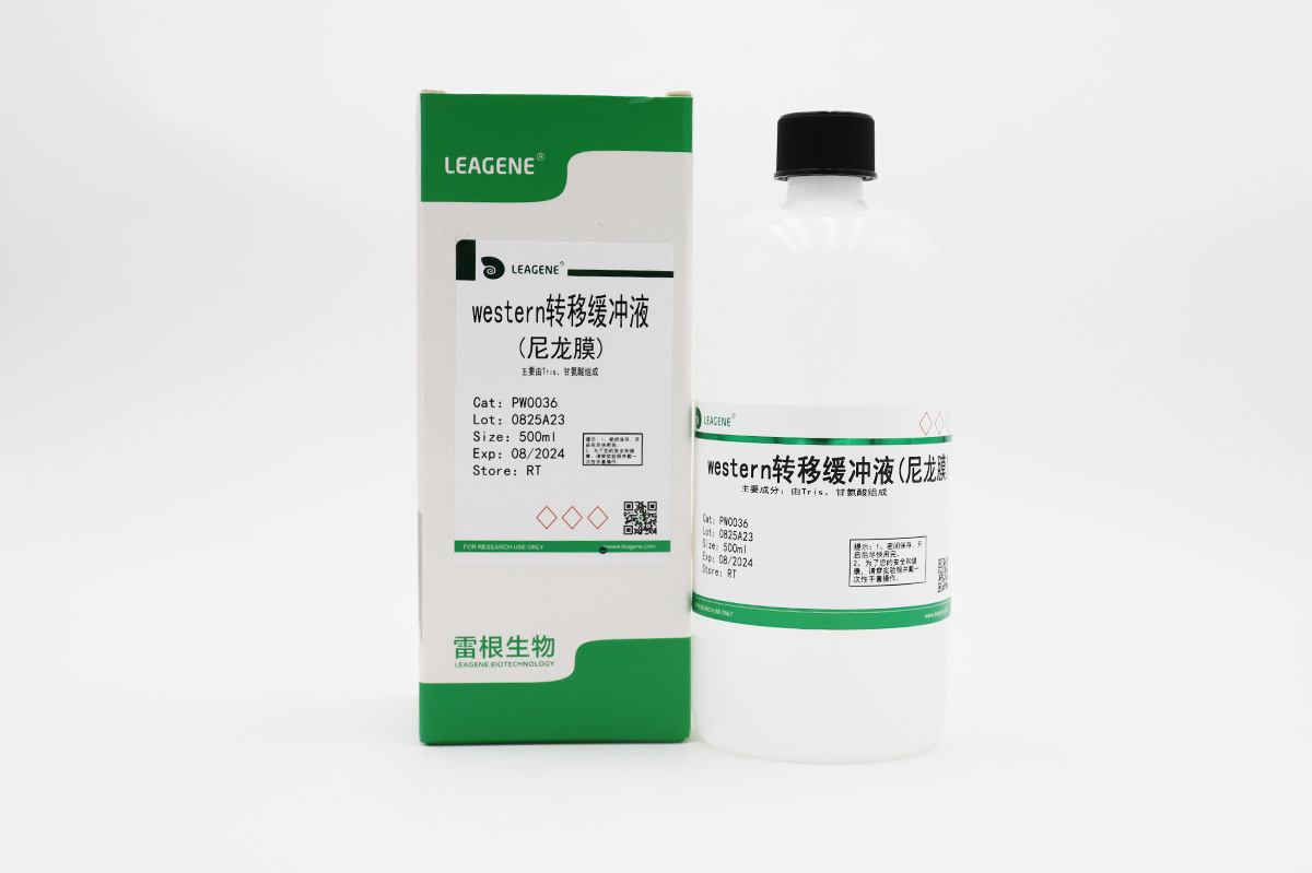 western轉移緩沖液(尼龍膜)