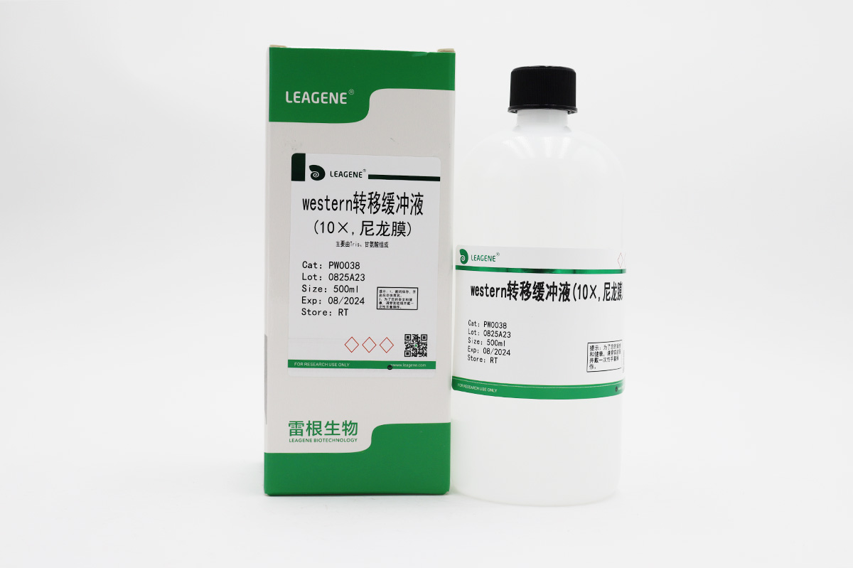 western轉移緩沖液(10×,尼龍膜)