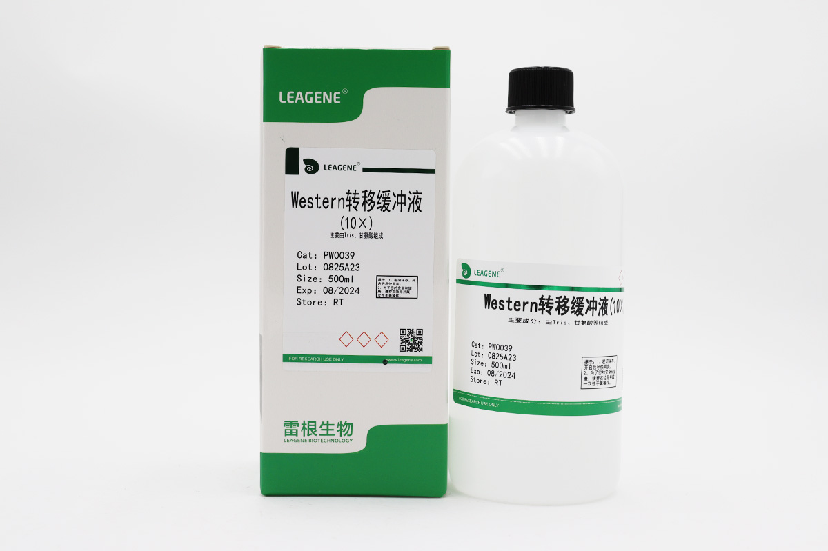 Western轉移緩沖液(10×)
