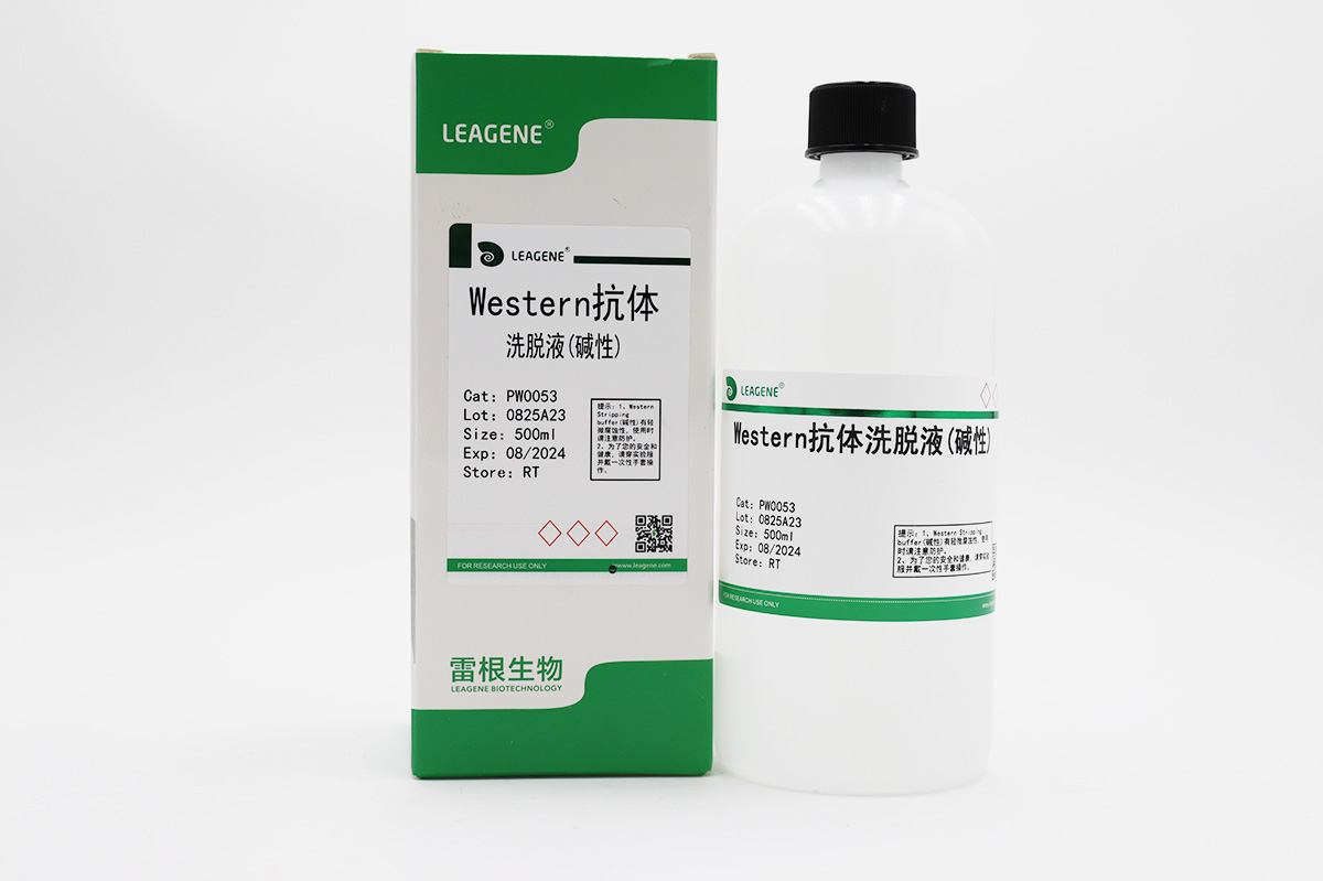 Western抗體洗脫液(堿性)