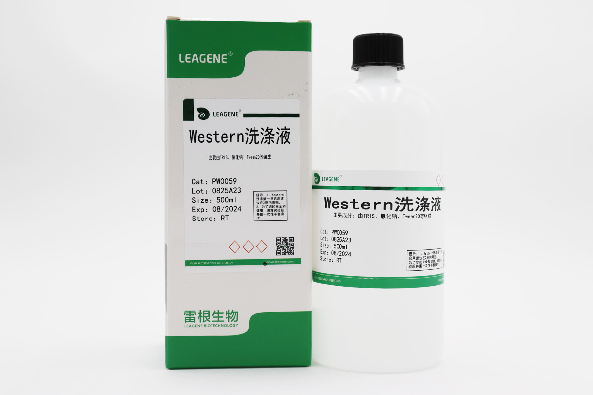 Western洗滌液