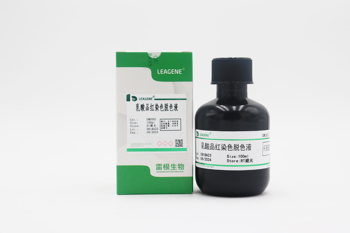 乳酸品紅染色脫色液
