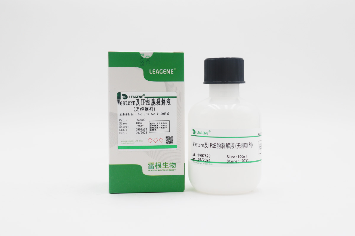 Western及IP細胞裂解液(無抑制劑)