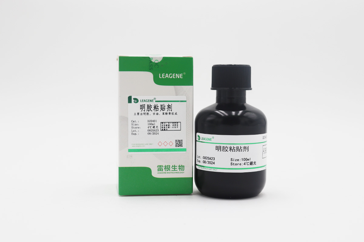 明膠粘貼劑