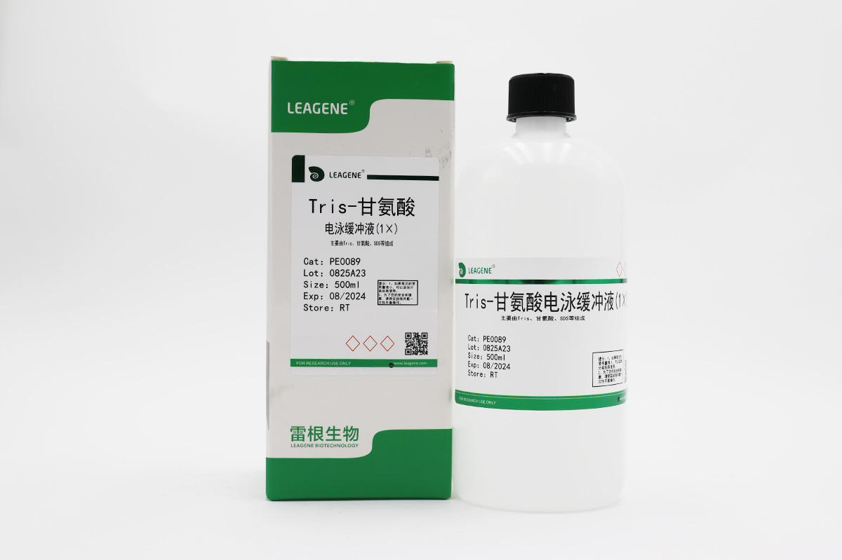 Tris-甘氨酸電泳緩沖液(1×)