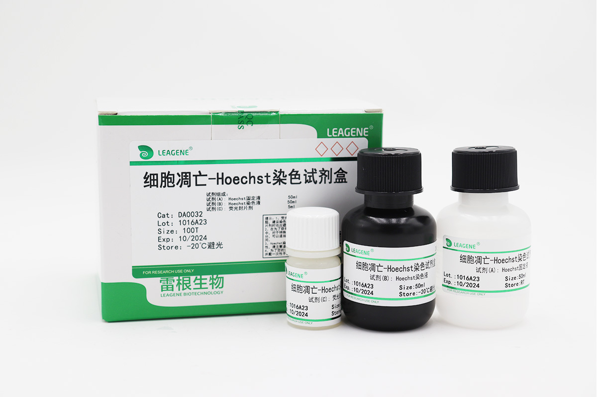 細胞凋亡-Hoechst染色試劑盒