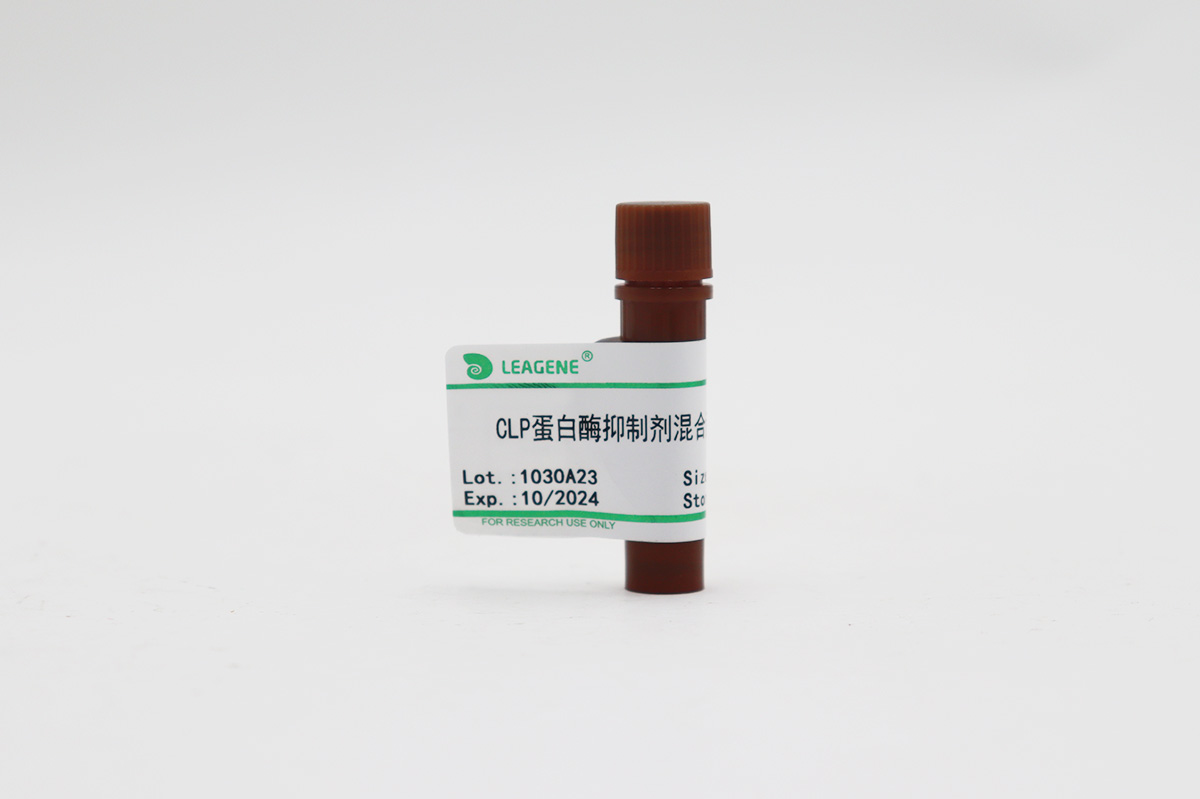 CLP蛋白酶抑制劑混合液(1mg/ml)