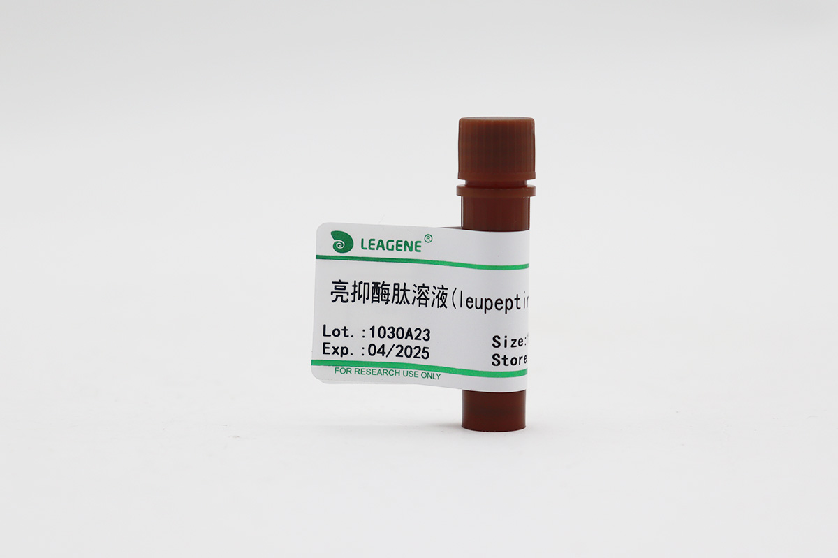 亮抑酶肽溶液(leupeptin,1mg/ml)