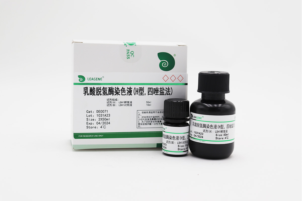 乳酸脫氫酶染色液(H型,四唑鹽法)
