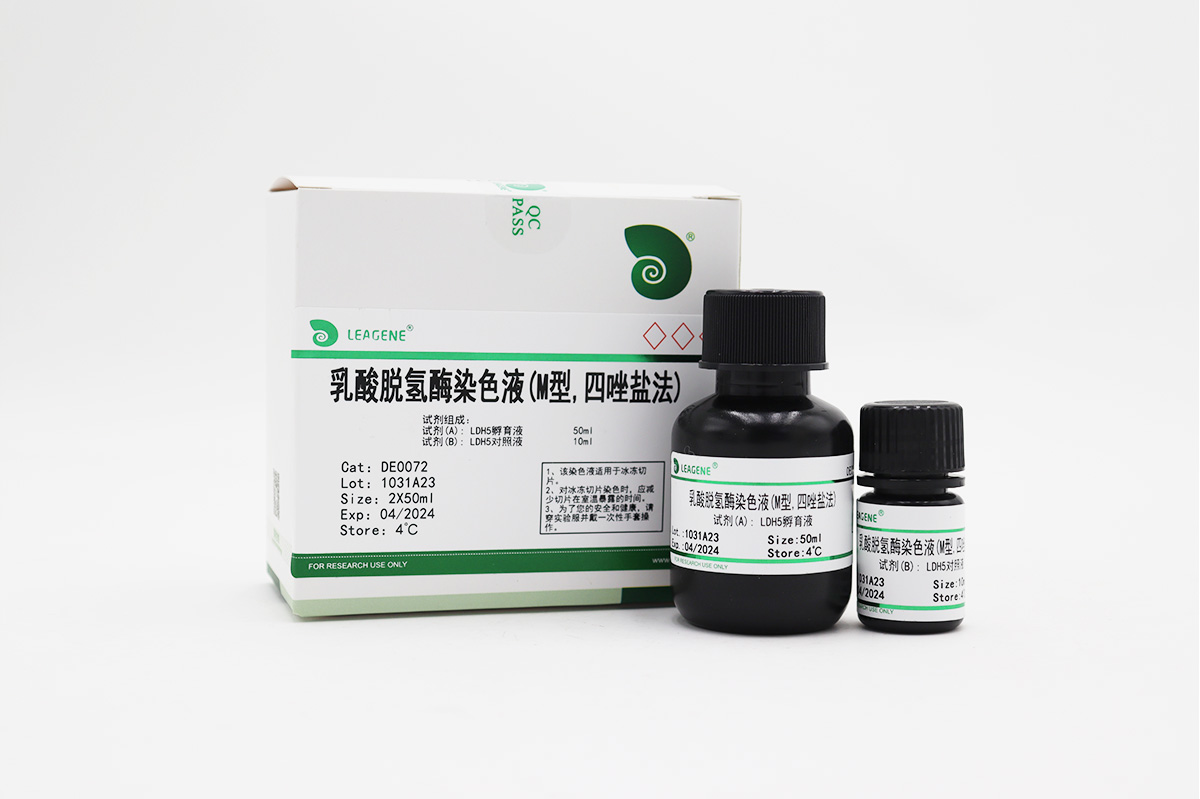 乳酸脫氫酶染色液(M型,四唑鹽法)