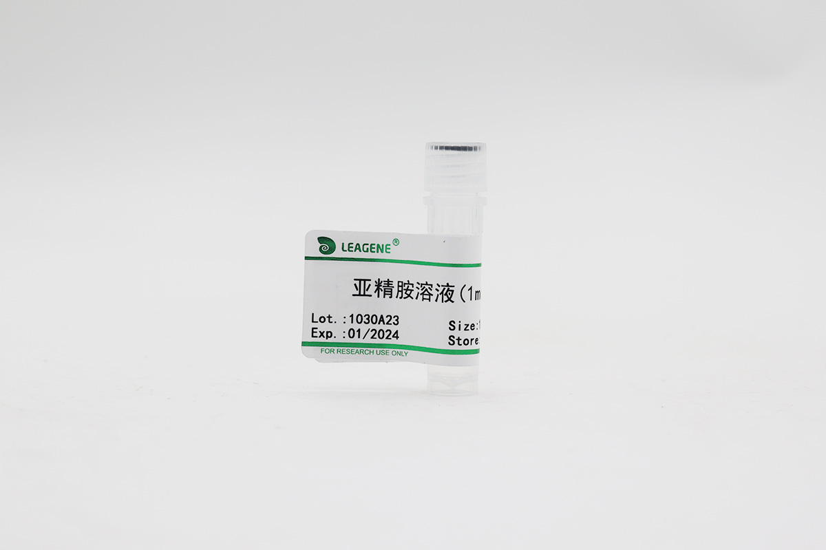 亞精胺溶液(1mol/L)
