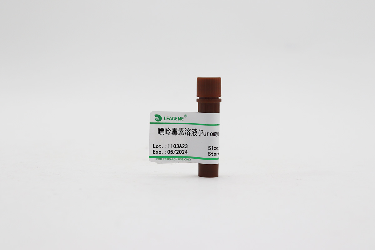 嘌呤霉素溶液(Puromycin,10mg/ml)