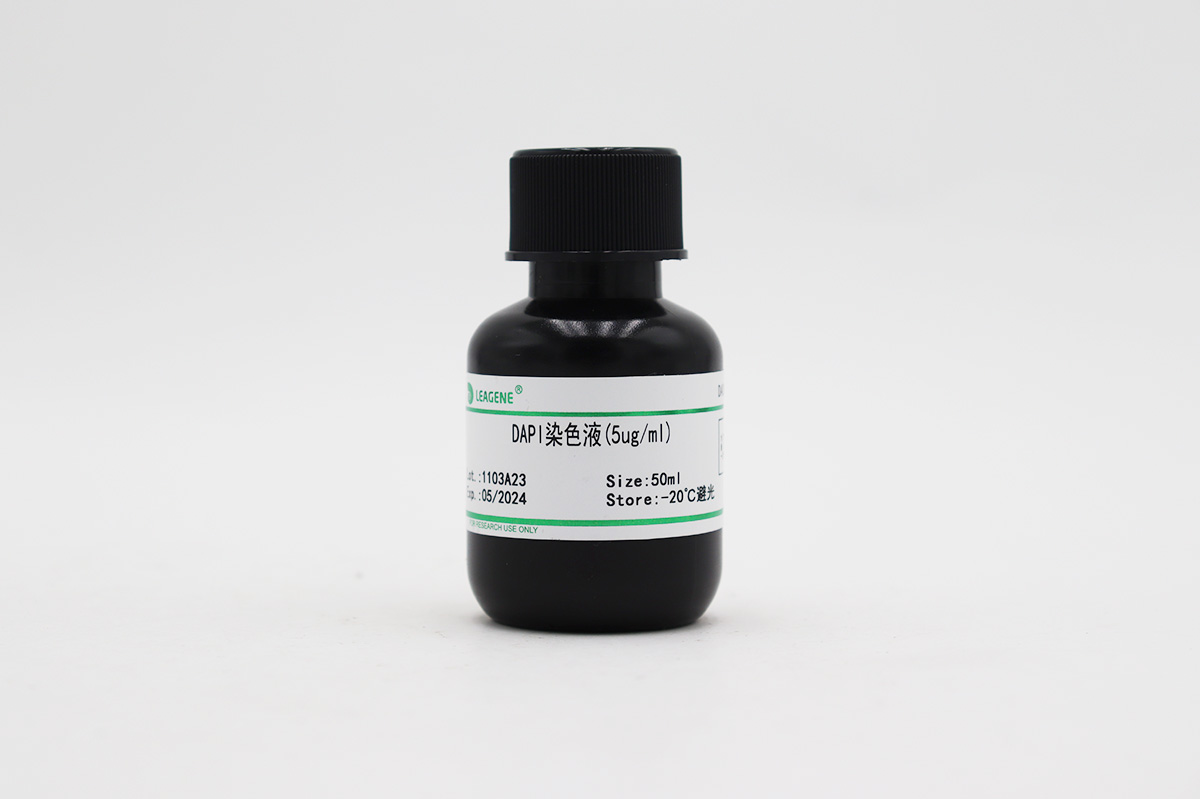 DAPI染色液(5ug/ml)