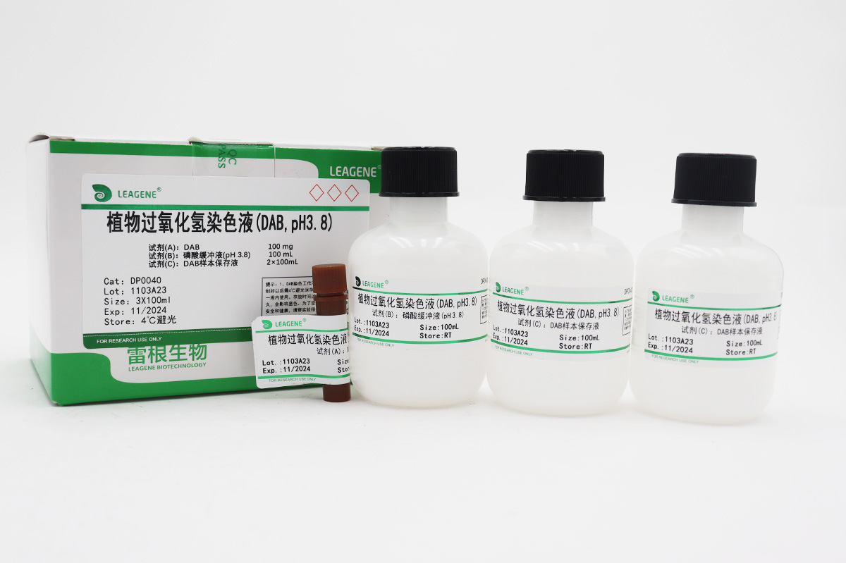 植物過(guò)氧化氫染色液(DAB,pH3.8)
