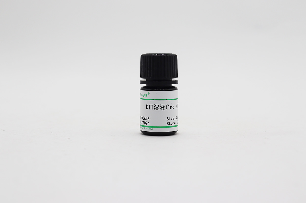 DTT溶液(1mol/L)