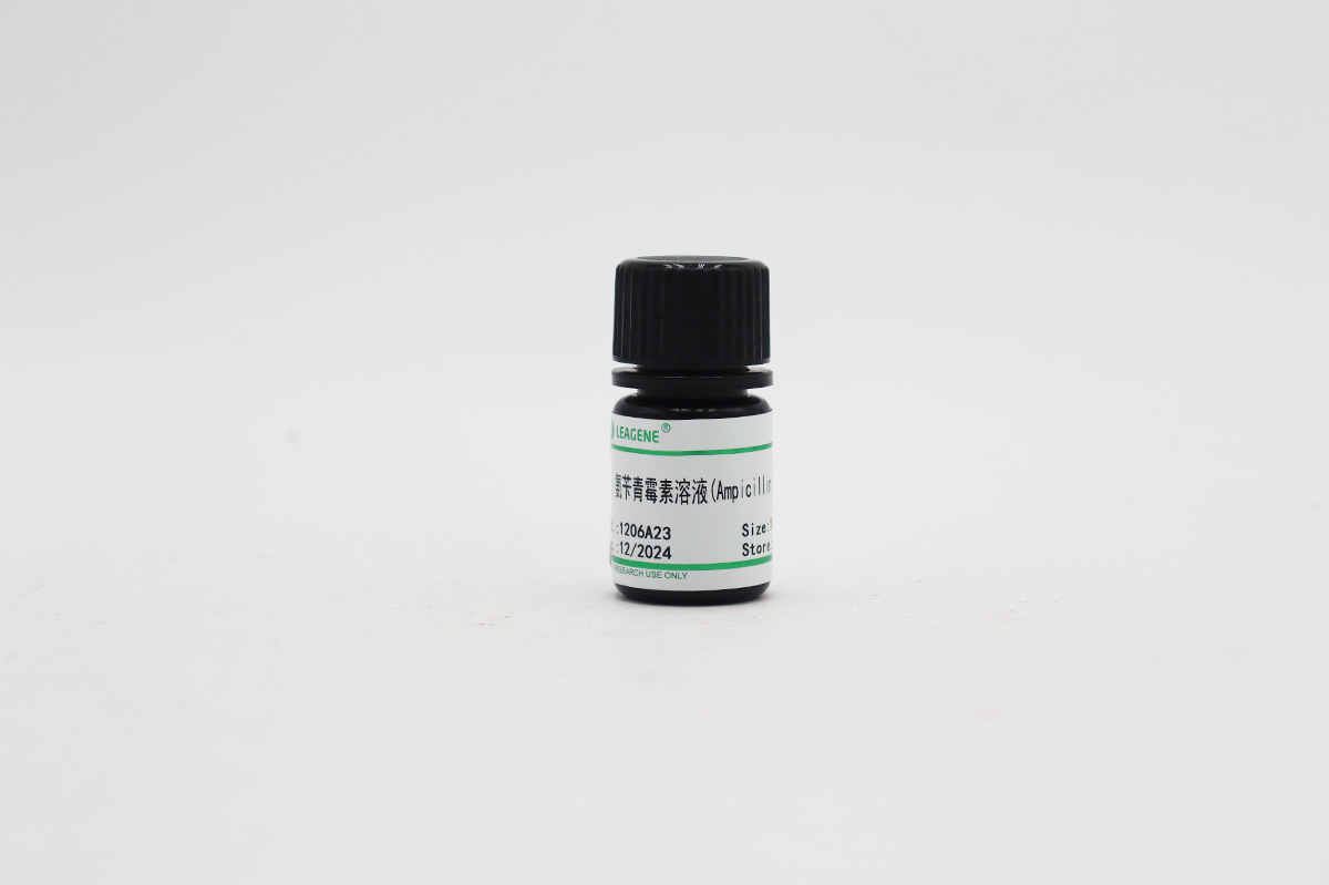 氨芐青霉素溶液(Ampicillin,100mg/ml)