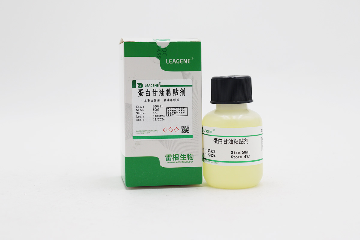 蛋白甘油粘貼劑