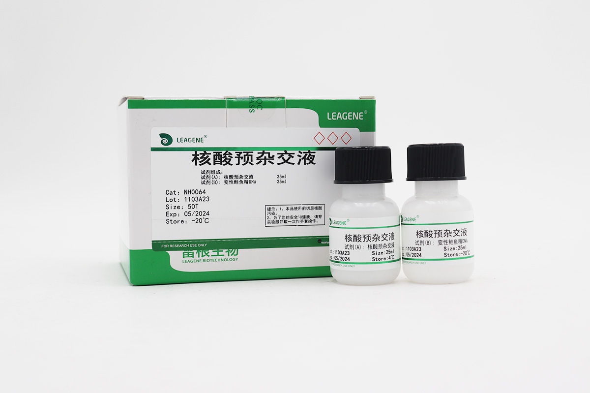 核酸預雜交液