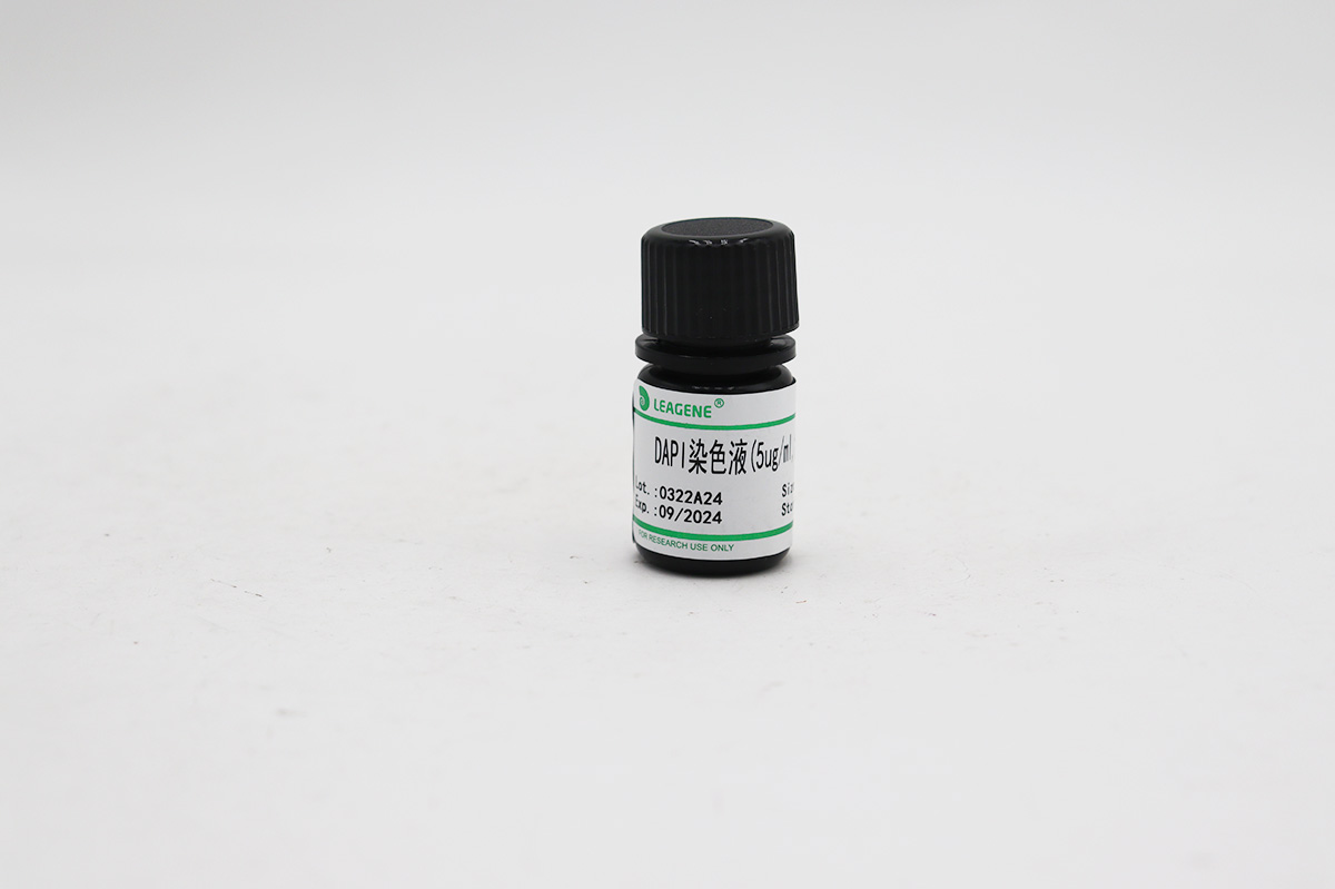 DAPI染色液(5ug/ml,含封片劑)