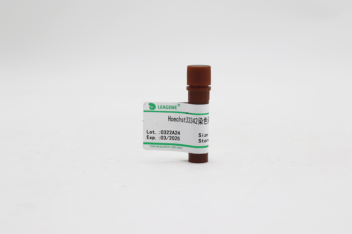 Hoechst33342染色液(1mg/ml)