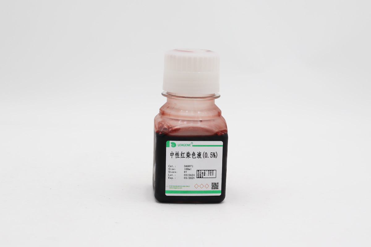 中性紅染色液(0.5%)