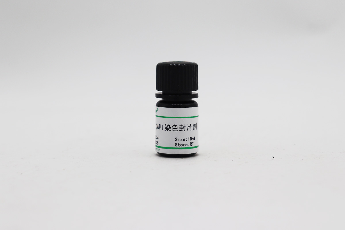 DAPI染色封片劑