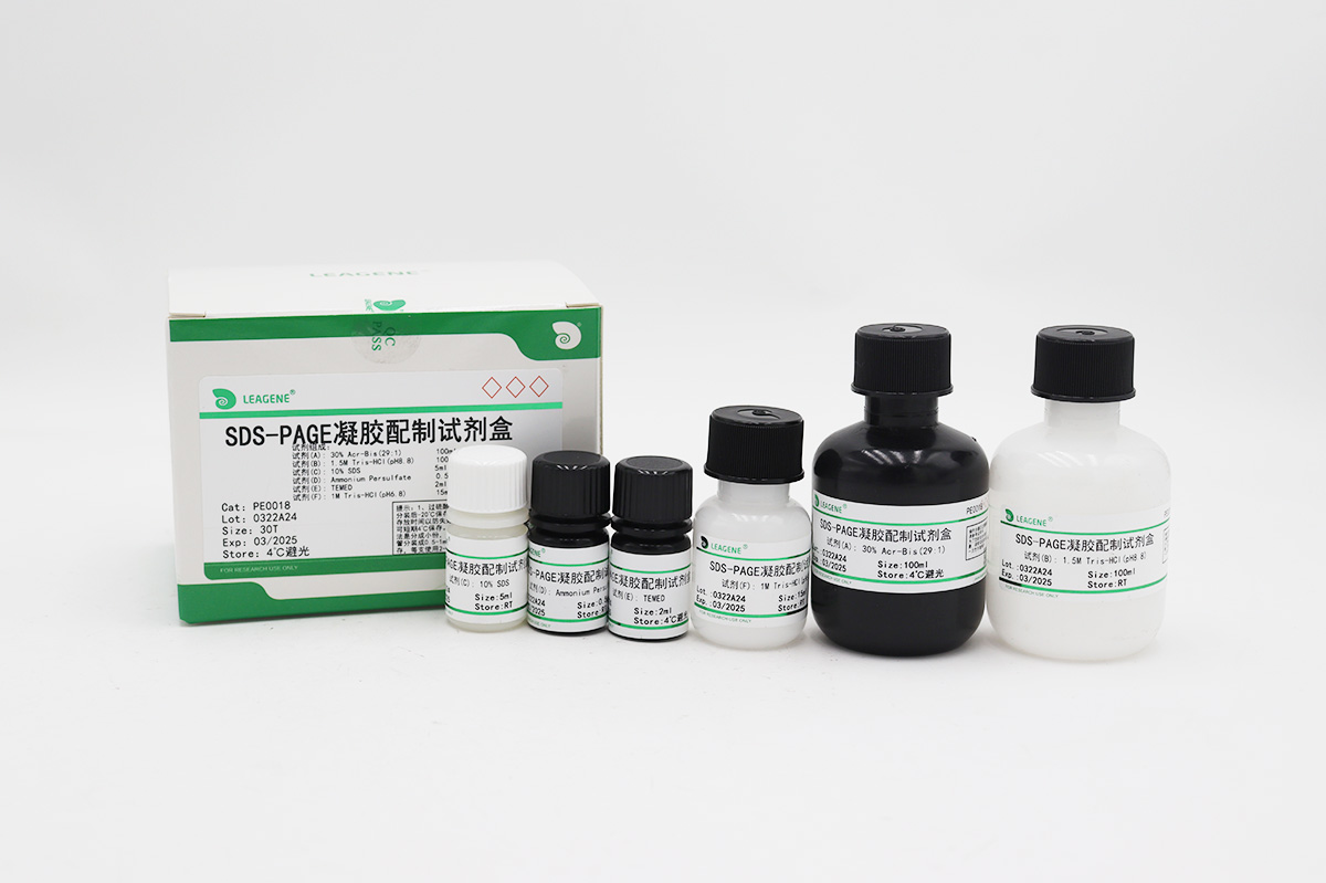 SDS-PAGE凝膠配制試劑盒