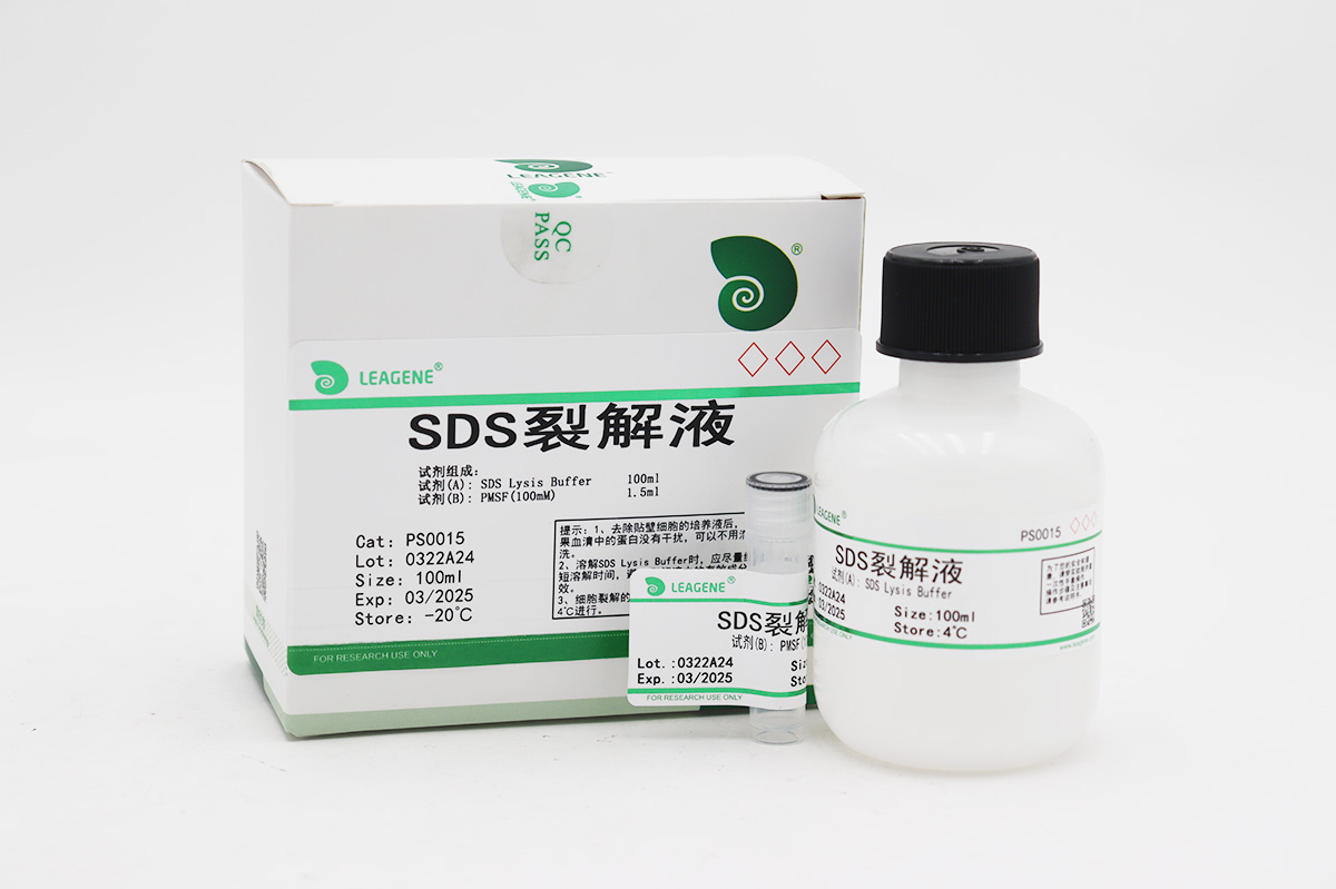 SDS裂解液
