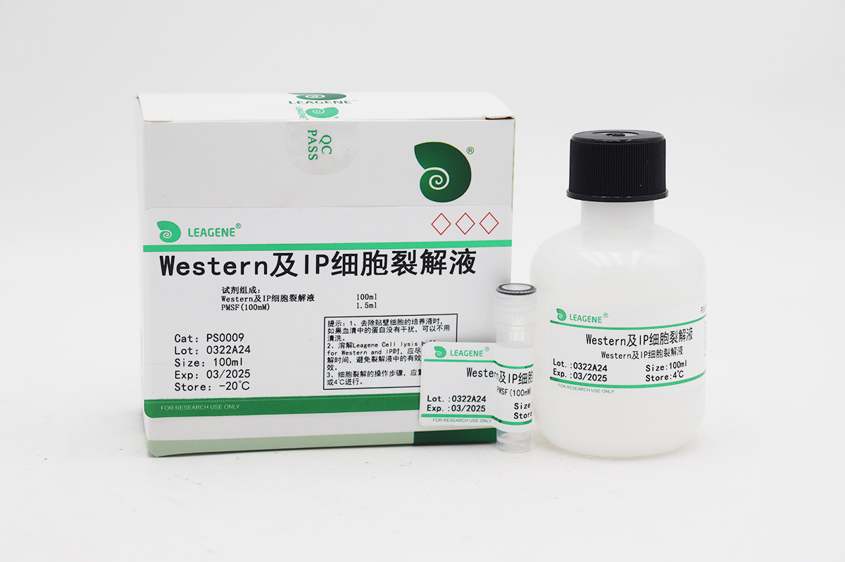Western及IP細(xì)胞裂解液