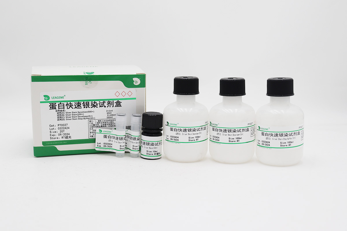 蛋白快速銀染試劑盒