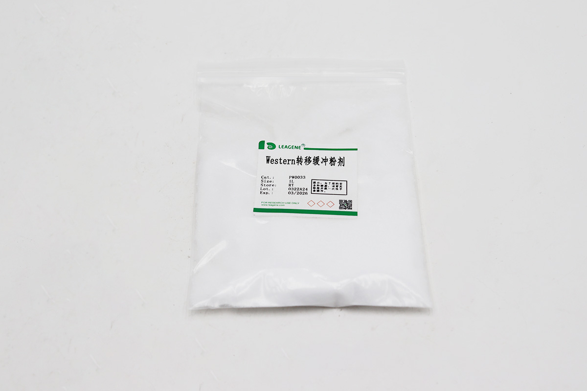 Western轉移緩沖粉劑